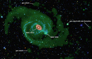 Galaxy’s snacking habits revealed