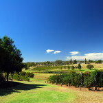 Swan Valley, Perth. Credit Robert Young.