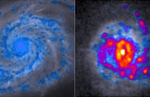 New spin on star-forming galaxies