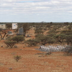 $4.6M awarded towards the Murchison Widefield Array Grid Image