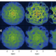 The Origin of Nuclear Star Clusters and their Co-evolution with Super-Massive Black Holes