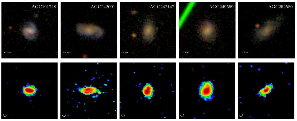 Comparison between the stellar (top) and molecular hydrogen (bottom) distribution in very gas-rich galaxies three billion years younger than the Milky Way. Optical data is from the Sloan Digital Survey whereas molecular hydrogen maps have been obtained using the Atacama Large Millimetre Array.