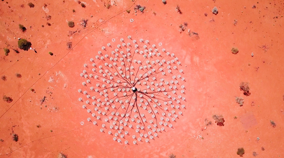 A full station of 256 antennas at CSIRO’s Murchison Radio-astronomy Observatory in outback Western Australia. The demonstrator is used to help test and finalise the design of the low frequency antennas for the SKA. Credit: ICRAR/Curtin University