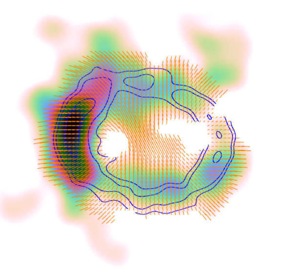 A map of the SN 1987A remnant with short orange lines showing the orientation of the magnetic field. Image: Giovanna Zanardo