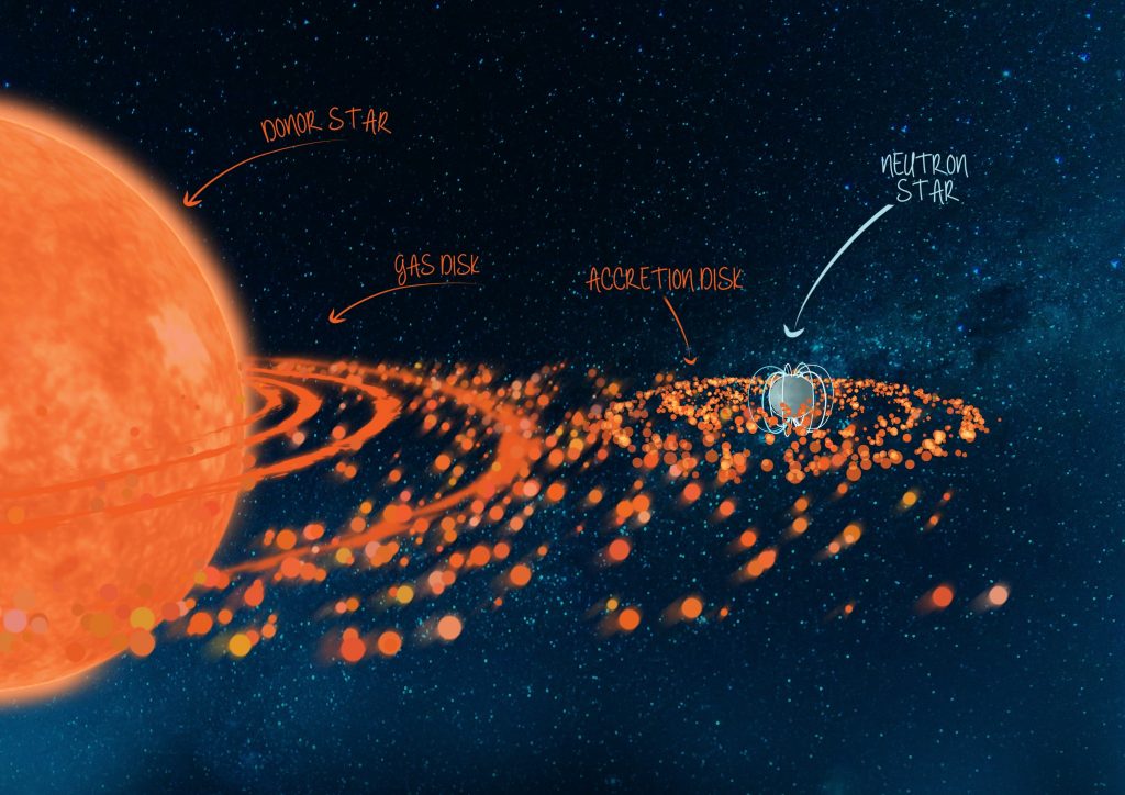 An artist's impression of the binary system Swift J0243.6+6124. A binary system with a neutron star in a 27-day orbit and a more massive, rapidly-rotating donor star. The rapid rotation of the donor star throws off a disk of material around the stellar equator. As the neutron star passes through the disk during its orbit, it picks up some of this outflowing gas, which then spirals in towards the neutron star in an accretion disk. Credit: ICRAR/University of Amsterdam.