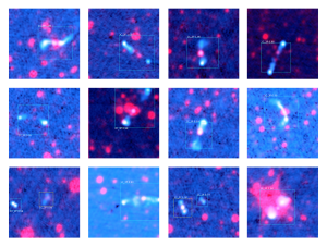 Fourteen radio galaxy predictions ClaRAN made during its scan of radio and infrared data. All predictions were made with a high ‘confidence’ level, shown as the number above the detection box. A confidence of 1.00 indicates ClaRAN is extremely confident both that the source detected is a radio galaxy jet system and that it has classified it correctly. Credit: Dr Chen Wu and Dr Ivy Wong, ICRAR/UWA. 