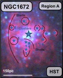 HST image of a HII region in NGC1672