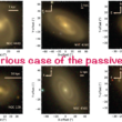 The curious case of the passive spiral galaxy