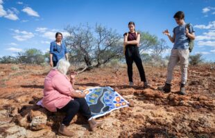 ICRAR researchers finalists in Premier’s Science Awards